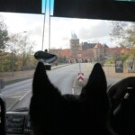 Burgtor + Tristan