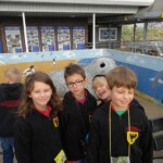 Seehundstation vor Kurt